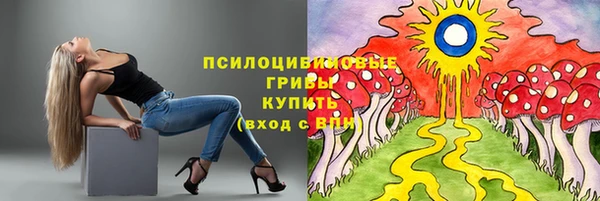 соль курить ск Бородино