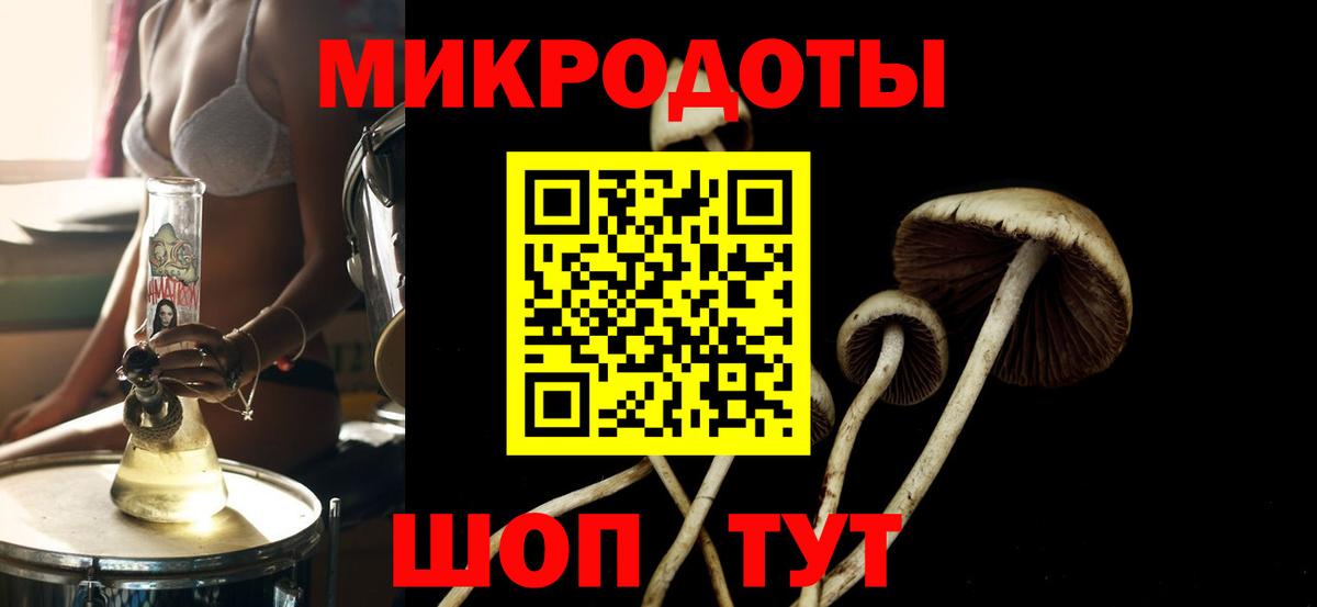 Галлюциногенные грибы GOLDEN TEACHER Бугуруслан